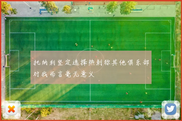 托纳利坚定选择热刺称其他俱乐部对我而言毫无意义
