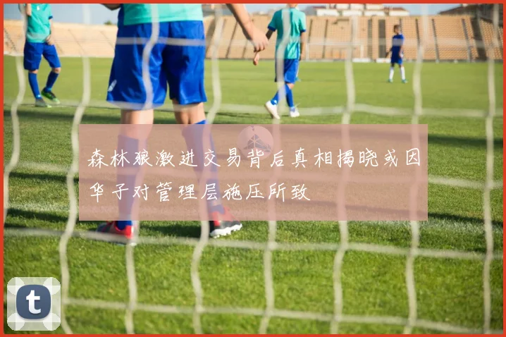 森林狼激进交易背后真相揭晓或因华子对管理层施压所致